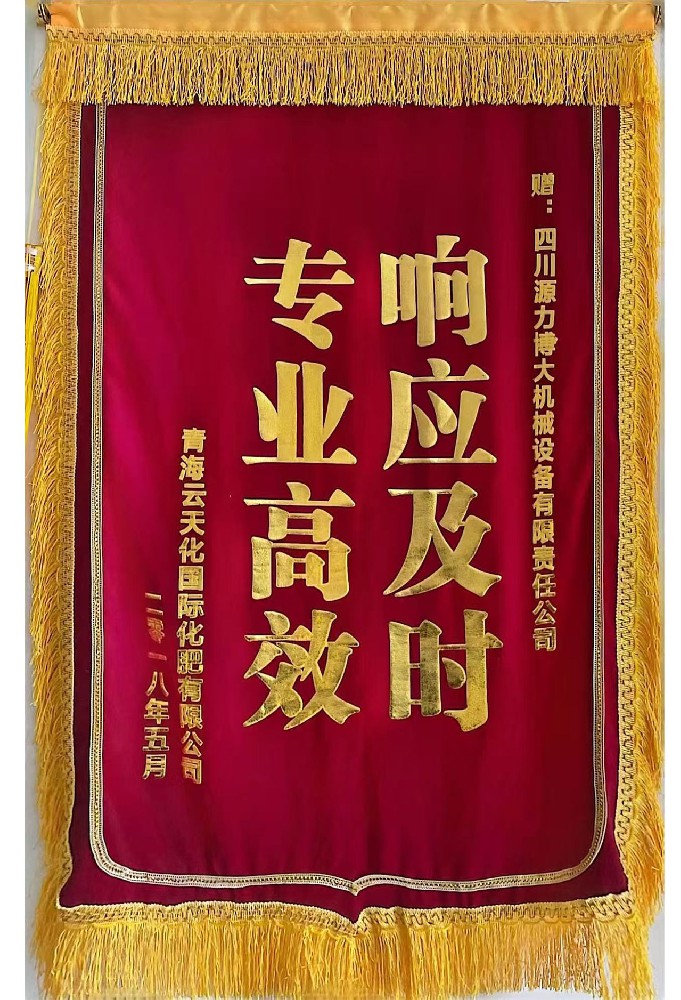 专业高效